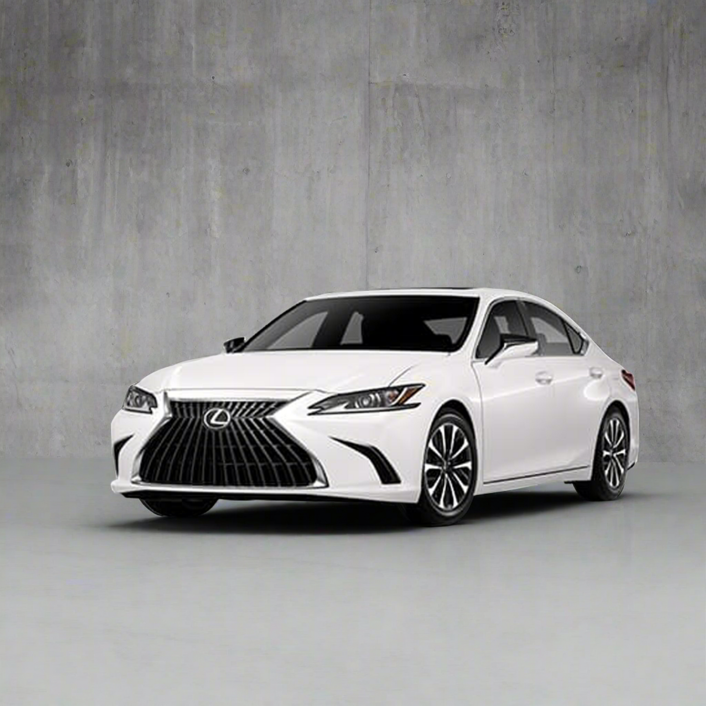 Lexus ES Winter Package