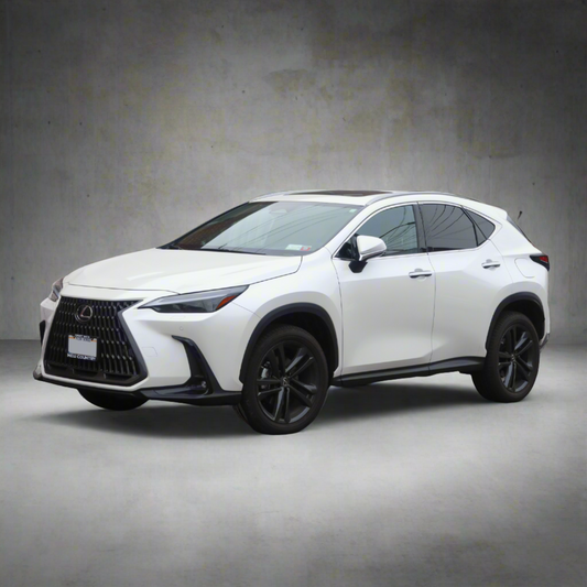 Lexus NX 2022+ Winter Package