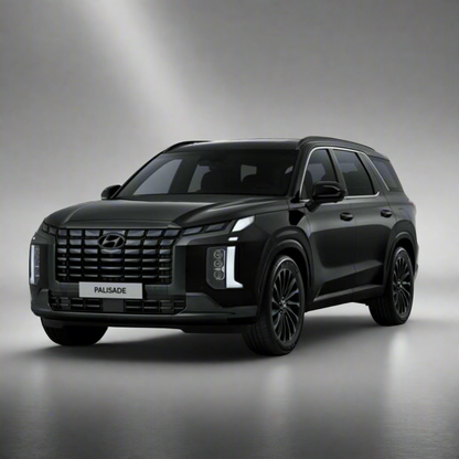 Hyundai Palisade Winter Package