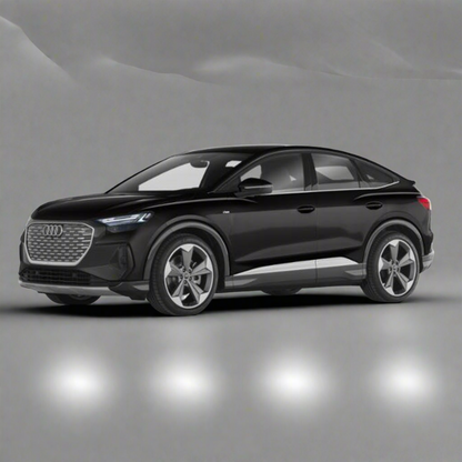 Audi Q4 E-Tron 2022+ Winter Package