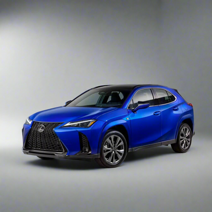 Lexus UX Winter Package